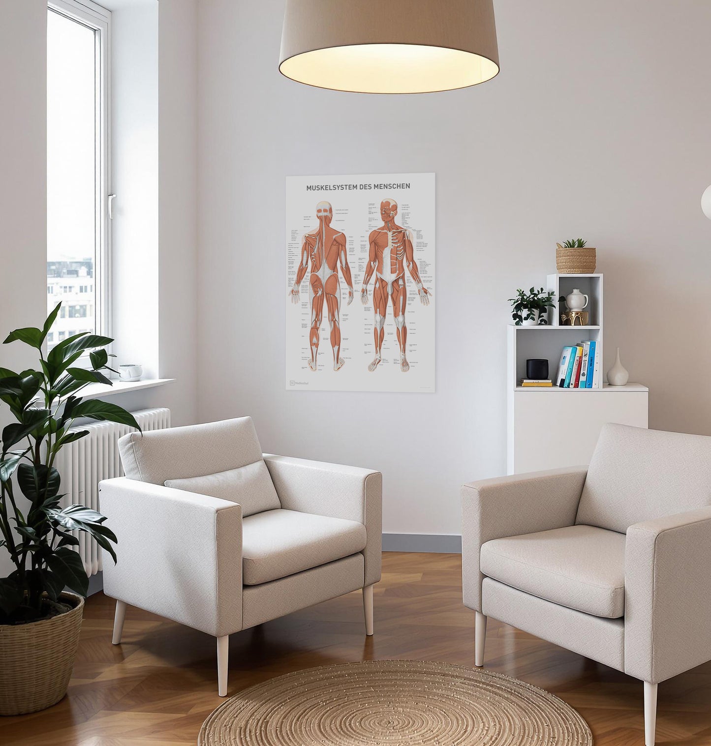 Anatomie Poster Muskelsystem des Menschen 70 x 100 cm